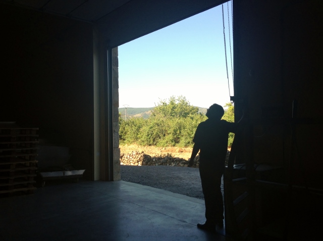visita_bodegas_peique_puerta_al_día